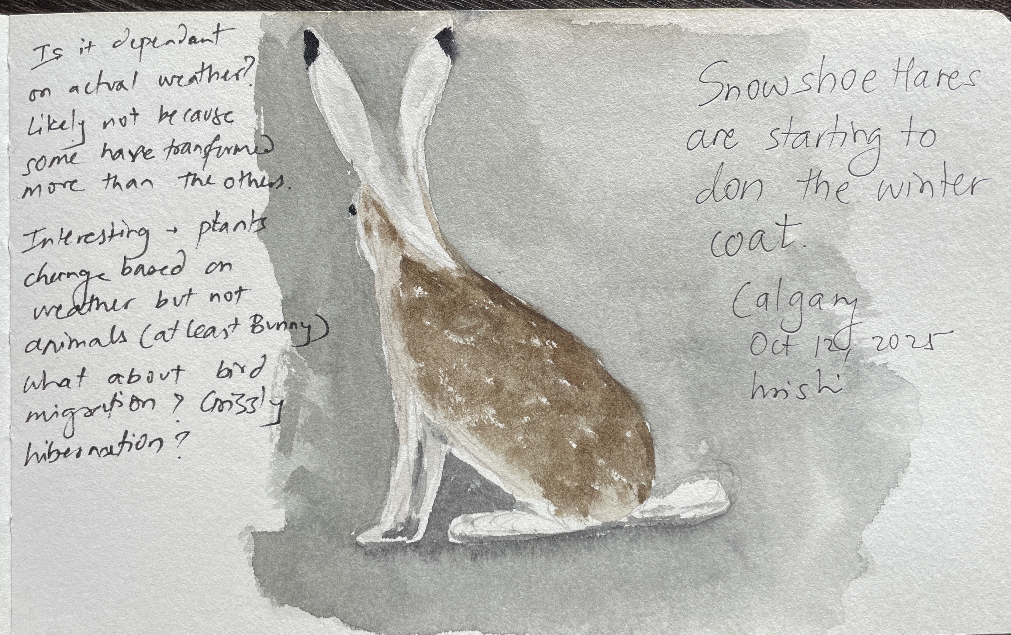 In nature journaling, the questions, and the thought process that leads to them, matter more than the answer.